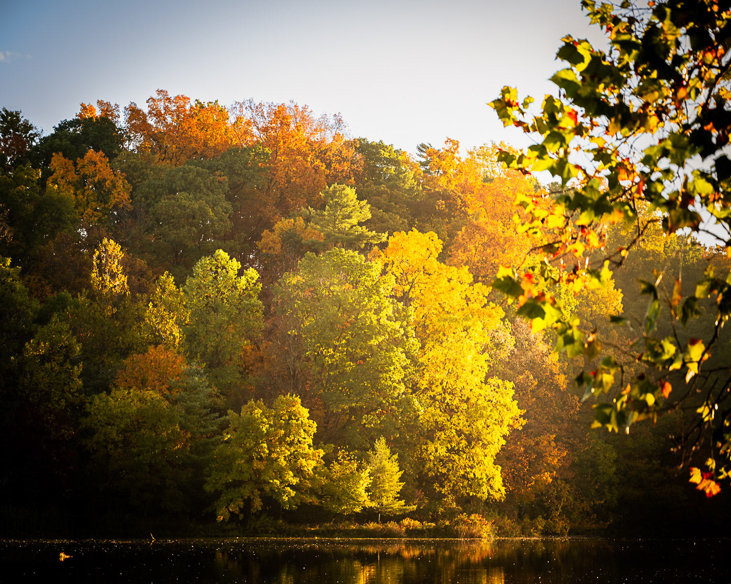 Cornell University- Autumn Leaves